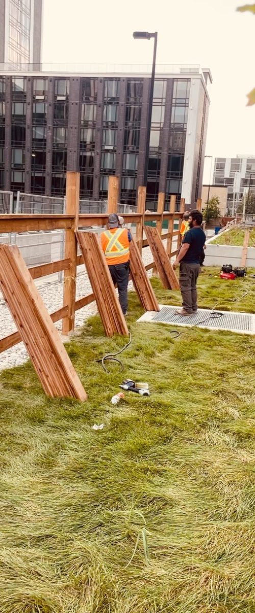 654FFD23-21B9-4C5B-82AF-F1DECF4FCF00_1_105_c